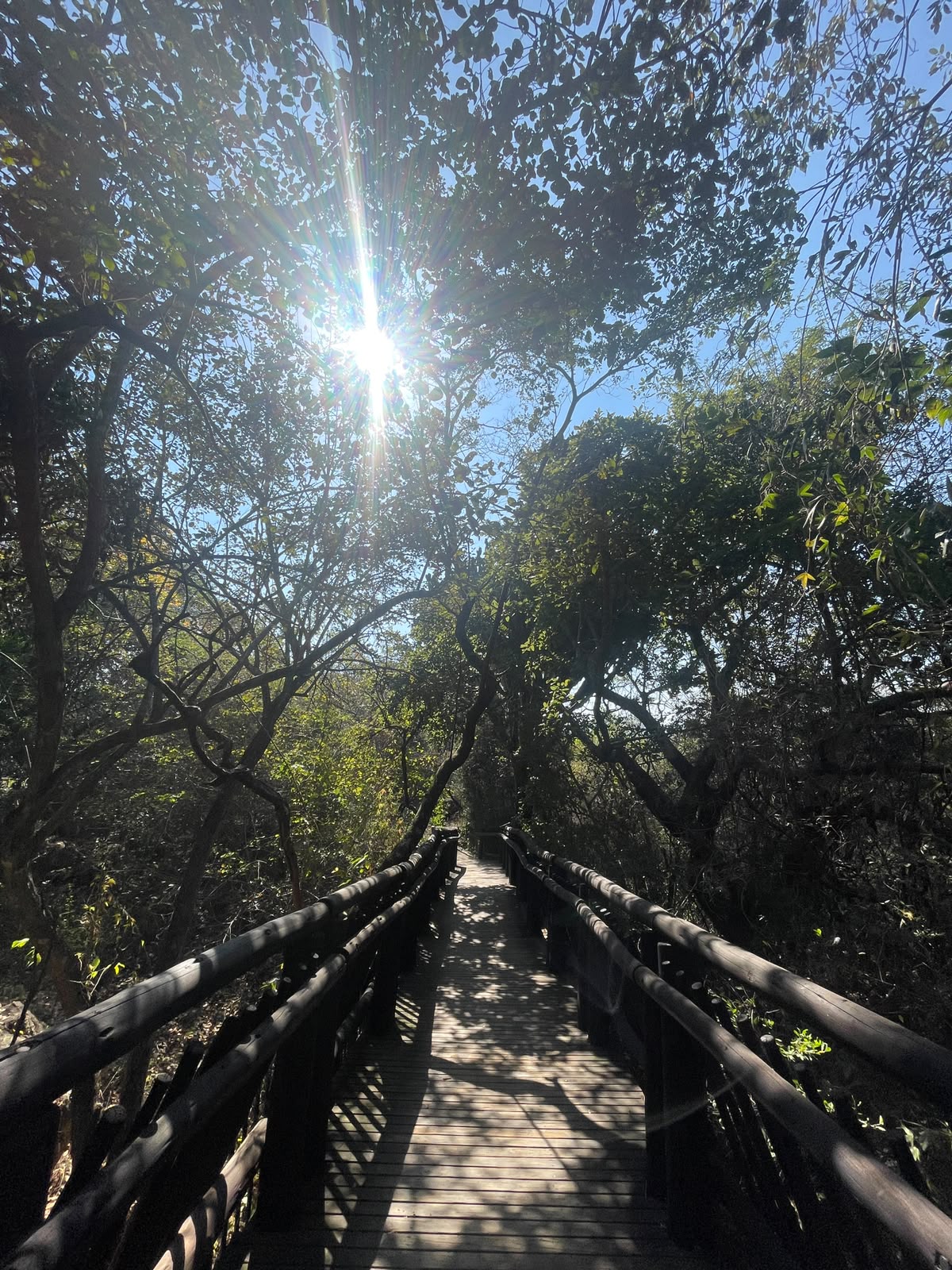 Day ride memory